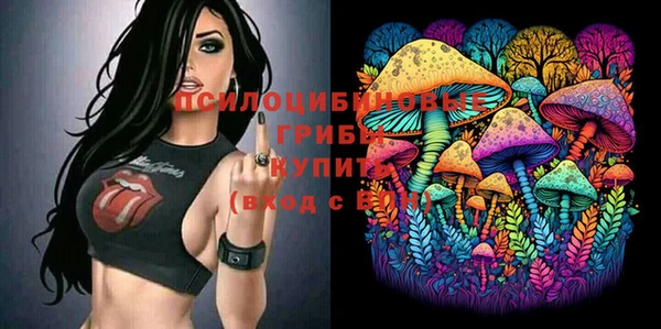 Альфа ПВП Абаза